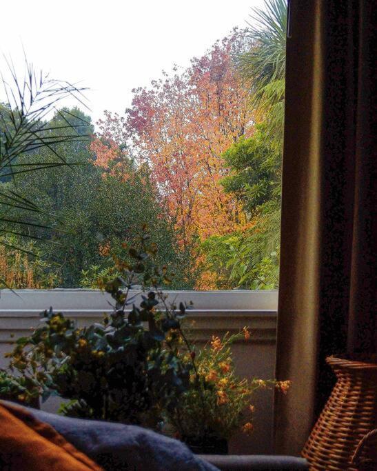Harrys House Warburton - Peaceful Riverside Cottage In The Perfect Location Exteriör bild